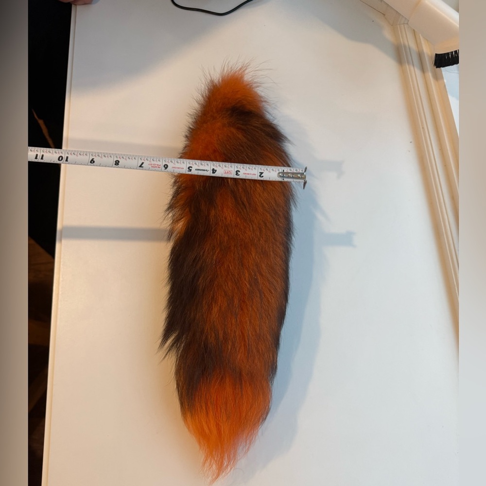 Fox Tail - Picture 5 of 5